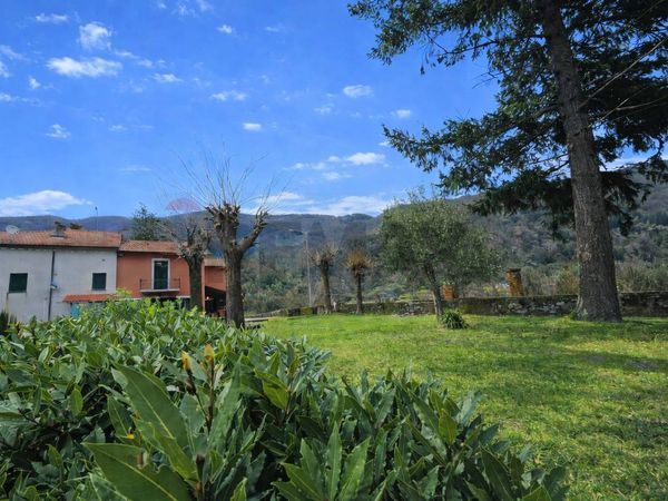 Casa Semindipendente Campi, Calice al Cornoviglio, SP Vendita - Foto 3