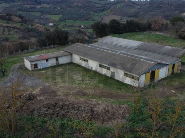 Terreno Celleno, VT Vendita