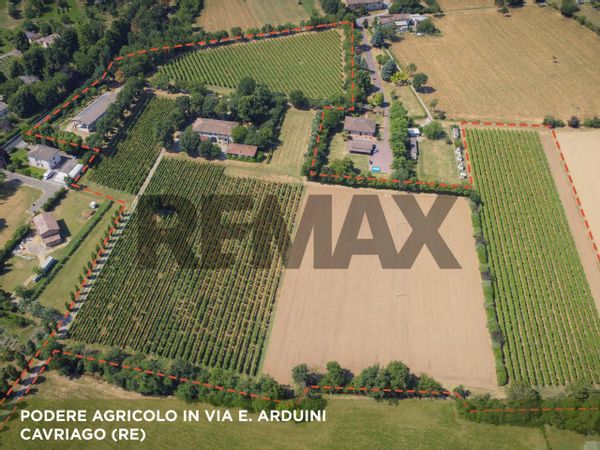 Azienda Agricola Cavriago, Reggio nell'Emilia, RE Vendita - Foto 2