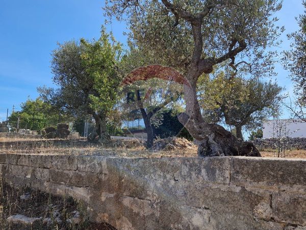 Baita/Chalet/Trullo Cisternino, BR Vendita - Foto 4