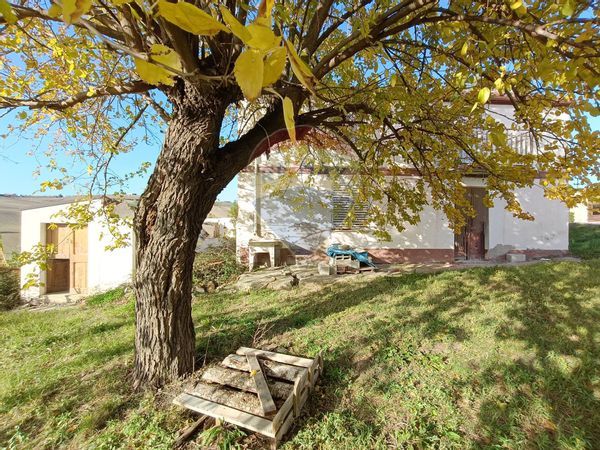 Casa Indipendente Sant'Eusanio del Sangro, CH Vendita - Foto 3