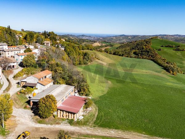 Azienda Agricola Mozzano, Neviano degli Arduini, PR Vendita