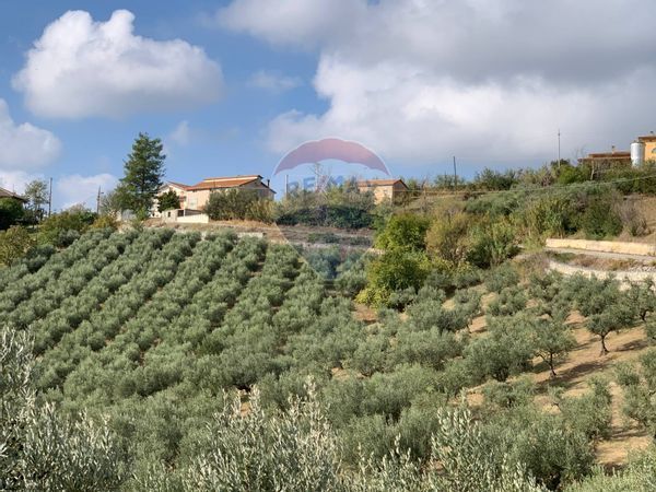 Casa Indipendente Sant'Eusanio del Sangro, CH Vendita - Foto 3