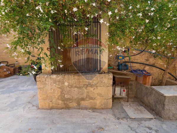 Cascina/Casale Mineo, CT Vendita - Foto 3