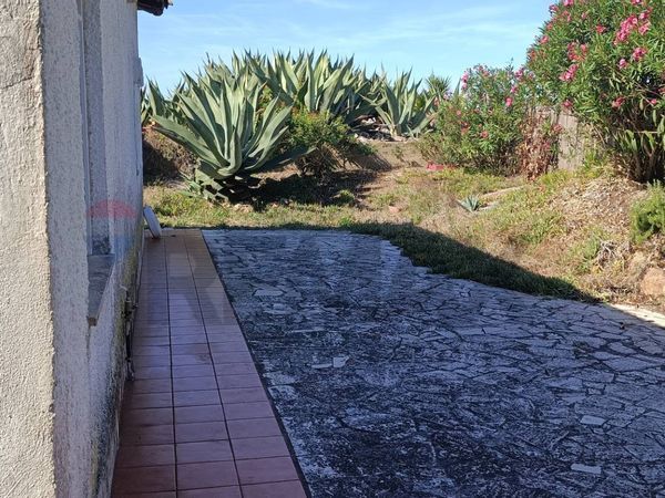 Villa singola Ardea, RM Vendita - Foto 4