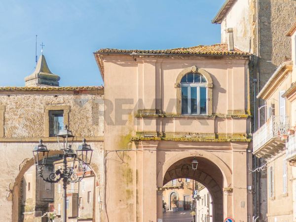 Rustico Farnese, VT Vendita - Foto 3