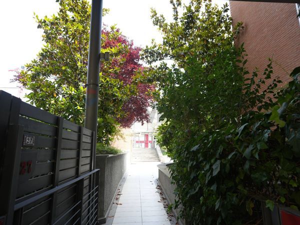 Loft/Open Space Ripamonti, Milano, MI Affitto - Foto 2