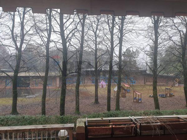 Appartamento Metanopoli, San Donato Milanese, MI Vendita - Foto 3