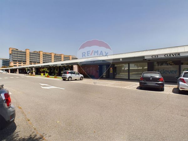 Negozio Portuense, Roma, RM Affitto