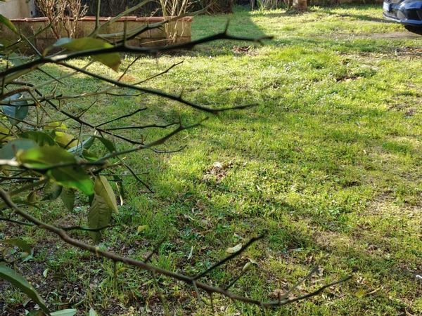 Rustico Sant'Angelo in Campo, Lucca, LU Vendita - Foto 4