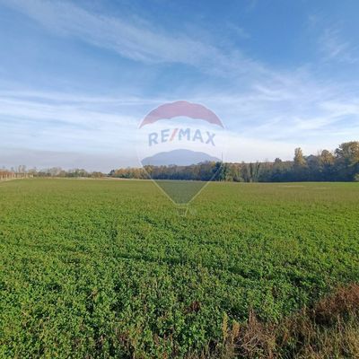 Terreno Bazzano, Valsamoggia, BO Vendita - Foto 5