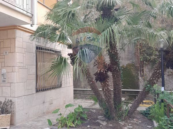 Appartamento Alassio, SV Vendita - Foto 4