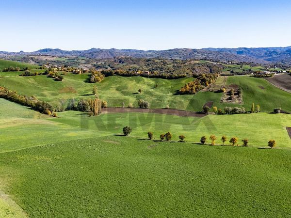 Azienda Agricola Mozzano, Neviano degli Arduini, PR Vendita - Foto 4