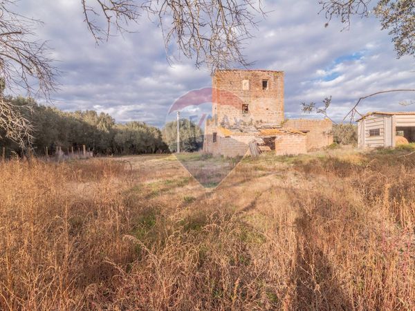 Cascina/Casale Vetralla, VT Vendita - Foto 2