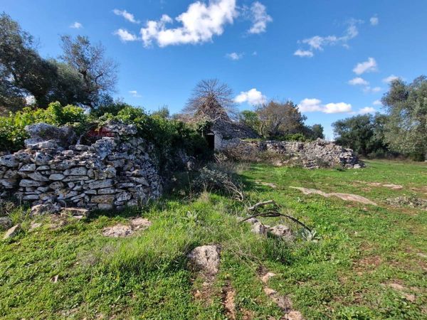 Baita/Chalet/Trullo Ceglie Messapica, BR Vendita - Foto 3