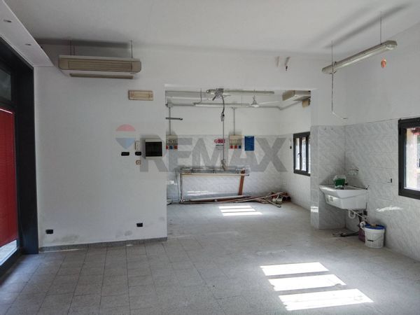 Negozio Castelvetro di Modena, MO Vendita - Foto 2