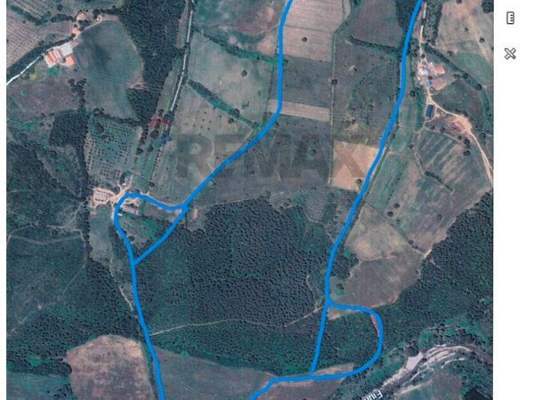 Terreno Suvereto, LI Vendita