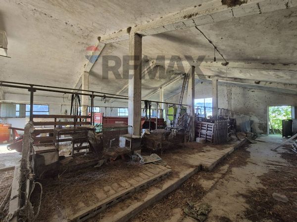 Rustico Castel Frentano, CH Vendita - Foto 2