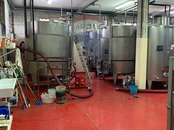 Attività  Commerciale Cupello, CH Vendita - Foto 3