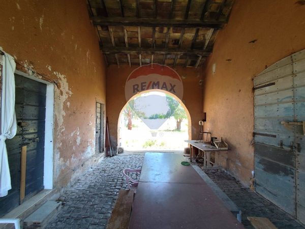 Cascina/Casale S. Palomba, Pomezia, RM Vendita - Foto 4