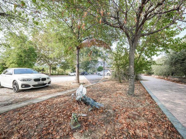 Agriturismo Bertinoro, FC Vendita - Foto 4