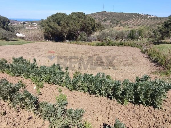 Rustico Santa Flavia, PA Vendita - Foto 3