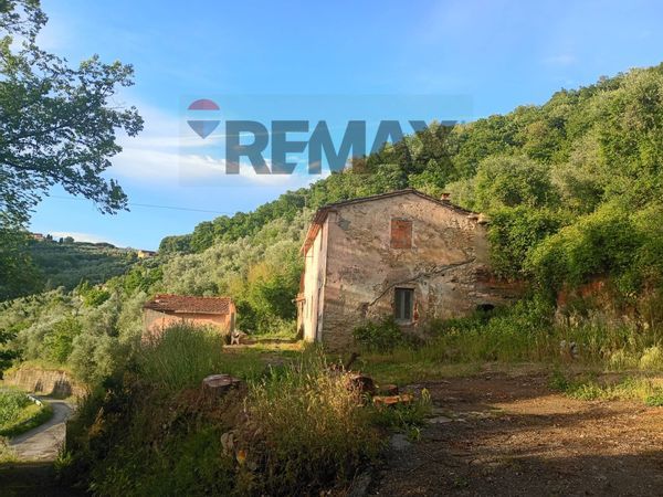 Cascina/Casale Pieve a Nievole, PT Vendita
