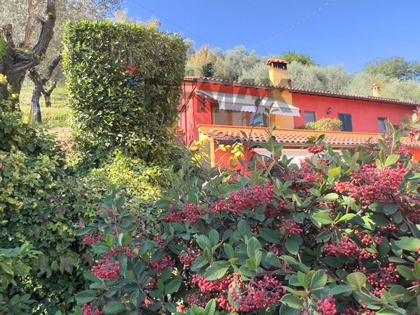 Casa Indipendente Nievole, Montecatini-Terme, PT Vendita - Foto 2