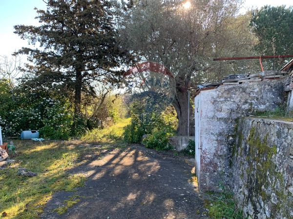 Baita/Chalet/Trullo Polignano a Mare, BA Vendita - Foto 2