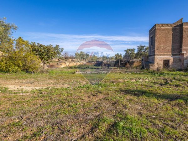 Cascina/Casale Trani, BT Vendita - Foto 3