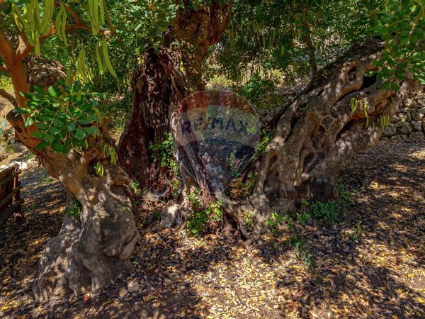 Cascina/Casale Mattinata, FG Vendita - Foto 4