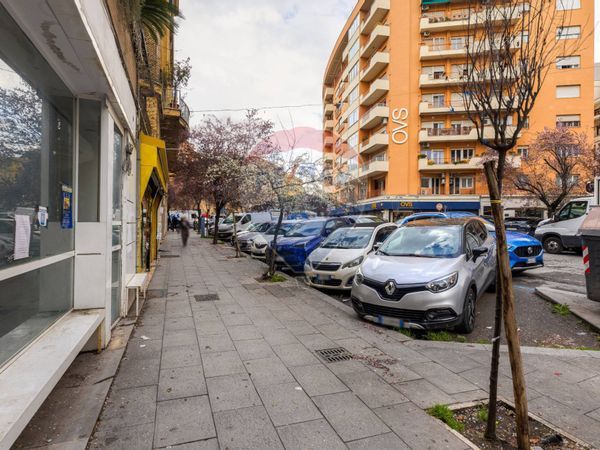 Locale Commerciale Bologna, Roma, RM Affitto - Foto 3