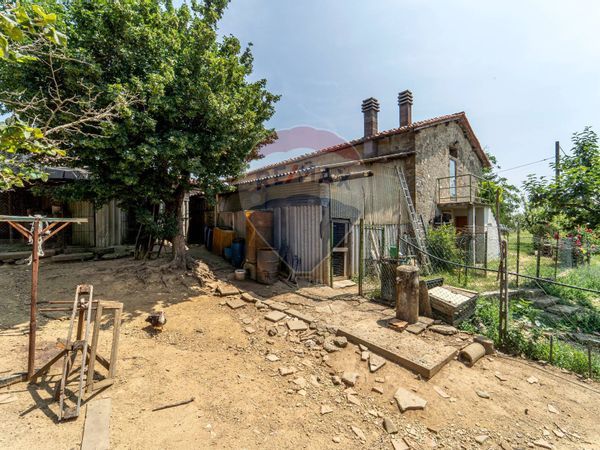 Cascina/Casale Cavallina, Barberino di Mugello, FI Vendita - Foto 3