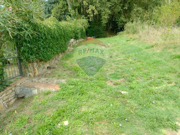 Terreno Chiantigiana, Montevarchi, AR Affitto - Foto 3