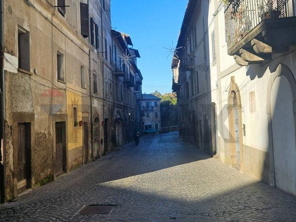 Commerciale Altro Bassano Romano, VT Vendita - Foto 4