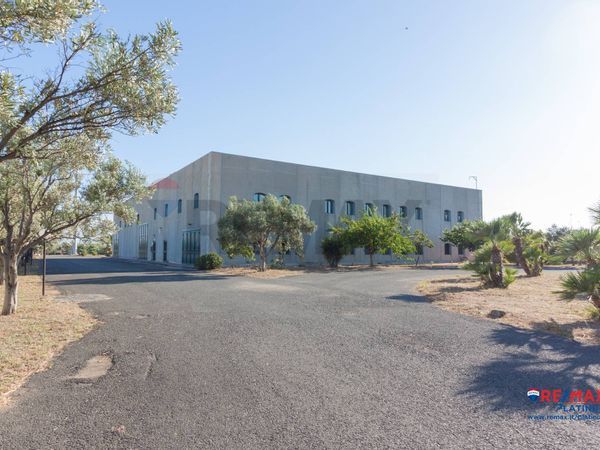 Capannone Industriale Zona periferica, Catania, CT Affitto