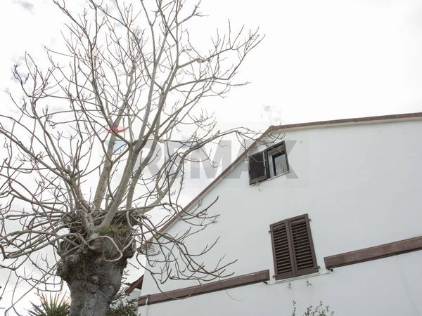 Casa Semindipendente Fiumesino, Falconara Marittima, AN Vendita - Foto 4