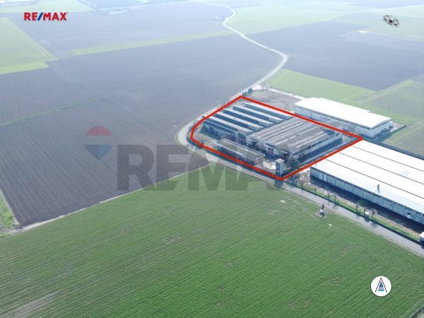 Capannone Industriale Sale, AL Vendita