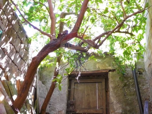 Casa Semindipendente Solopaca, BN Vendita