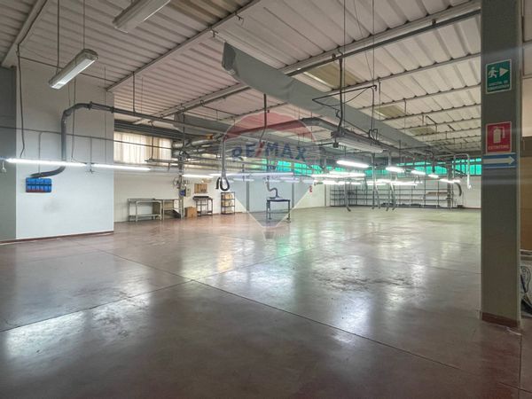 Capannone Industriale Stabbia, Cerreto Guidi, FI Vendita - Foto 3