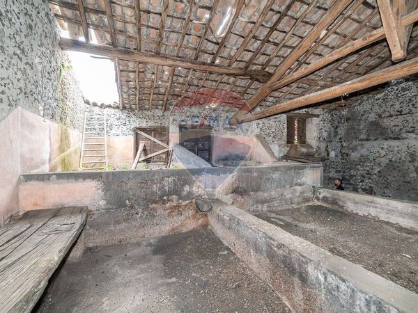 Rustico Nicolosi, CT Vendita - Foto 3