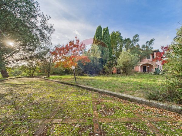 Villa singola Campagnano di Roma, RM Vendita - Foto 2