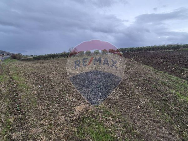 Terreno Edificabile San Vito, Flumeri, AV Vendita