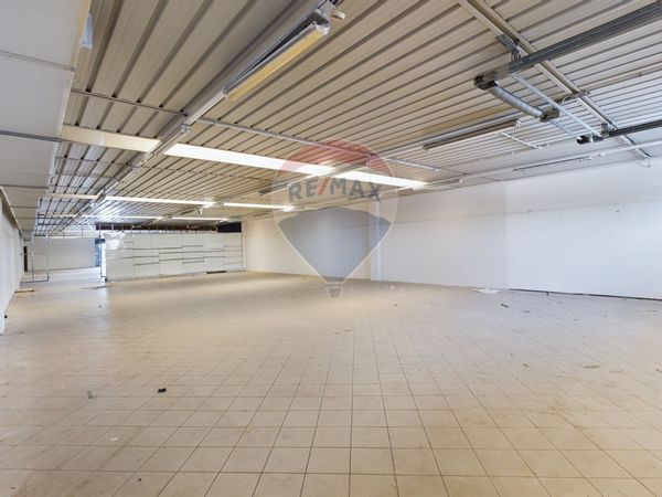 Negozio Portuense, Roma, RM Affitto - Foto 3