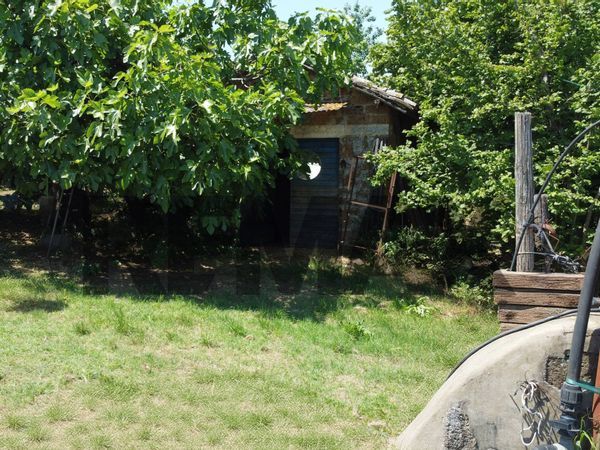 Terreno Vasanello, VT Vendita - Foto 2