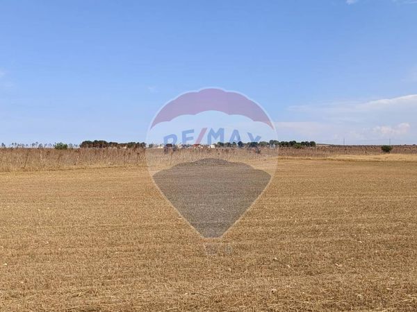 Terreno San Giovanni Rotondo, FG Vendita - Foto 3