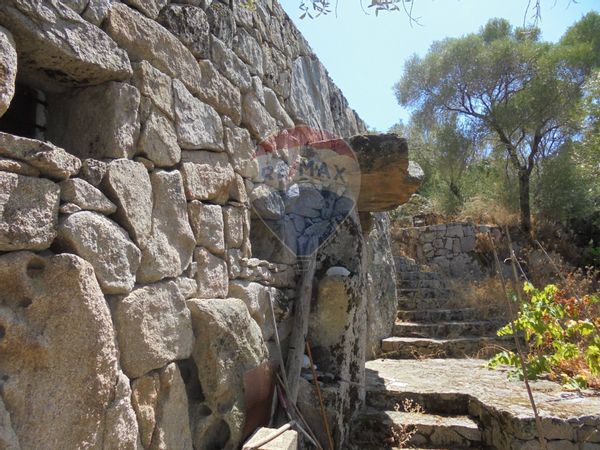 Villa singola Olbia, SS Vendita - Foto 4