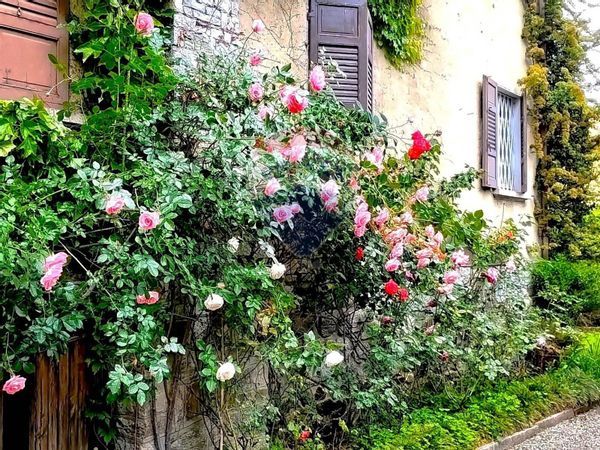 Villa o villino Centro, Stresa, VB Vendita - Foto 2