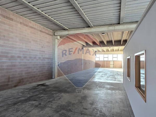 Capannone Industriale Polesella, RO Affitto