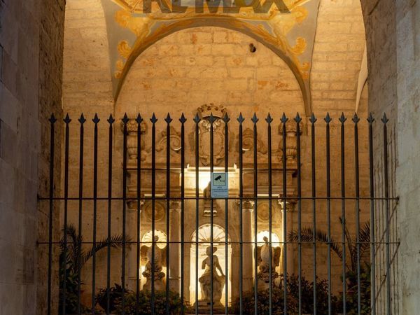 Casa Indipendente Acquaviva delle Fonti, BA Vendita - Foto 4